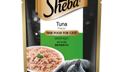 Sheba cat outlet food diarrhea